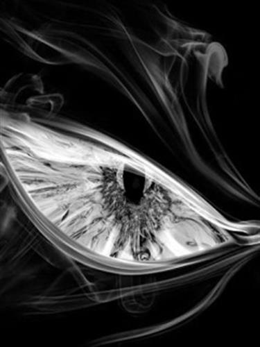 mehrdad&nbsp;farokhtala